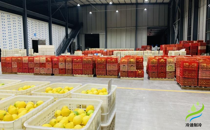 水果冷庫建設(shè)成本多少錢一平方米？