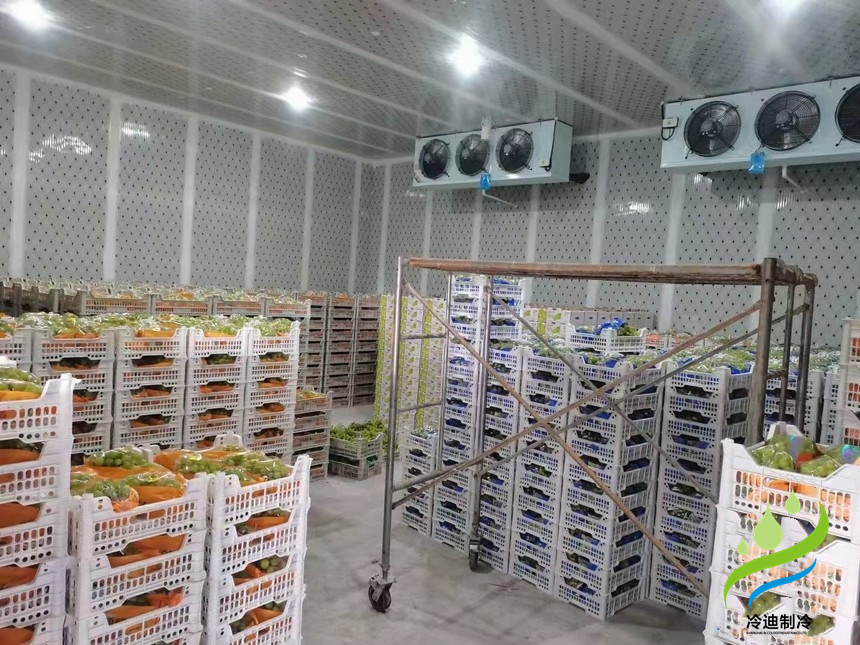 建造氣調(diào)冷庫(kù)多大一間比較合適？